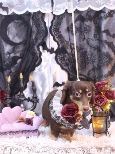 20231001ココくん